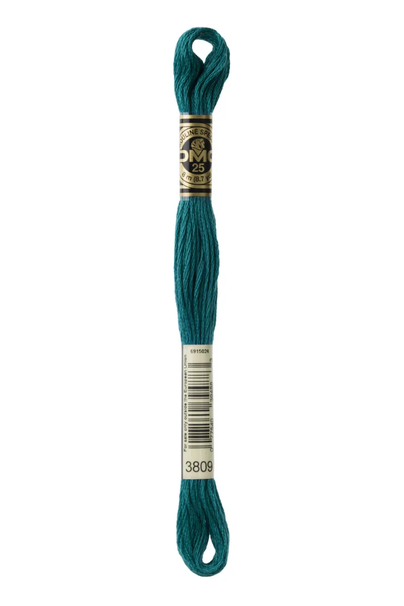 LETISTITCH DMC Mouliné Spécial 117MC-E_3809 embroidery thread skein in Sea Cave teal
