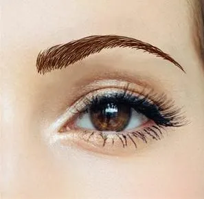 Godiva's Secret Wigs Beauty Eyebrows #3 Medium Brown sheet of 10 semi-permanent tattoo eyebrows