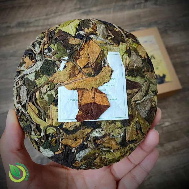 Wild Tea Qi The Essence of Tea, wild artisan moonlight white tea 2021 limited edition