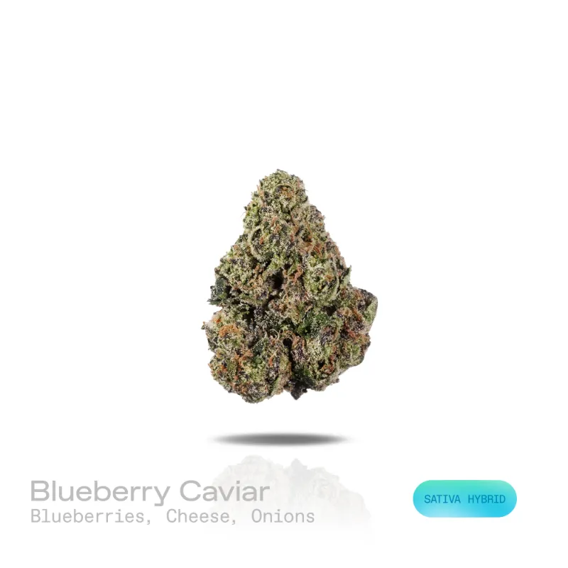 Hipuffy Blueberry Caviar THCa Flower exotic sativa hybrid with dense trichome coating