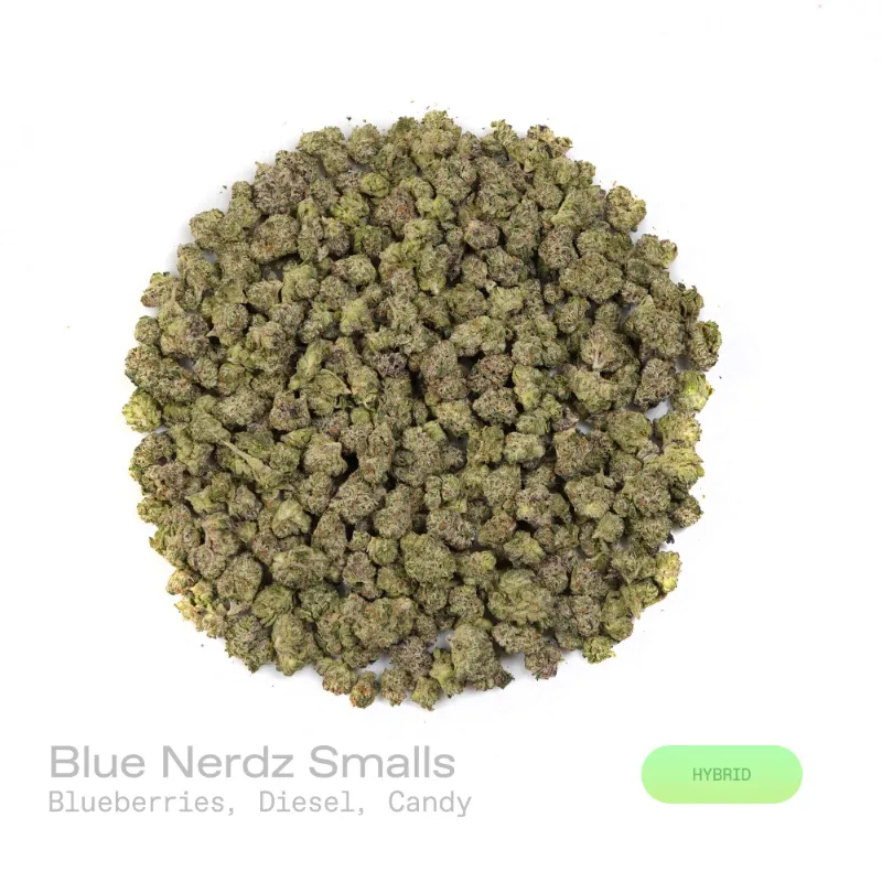 Hipuffy Blue Nerdz THCa Flower Exotic Hybrid smalls with green and purple buds and orange pistils