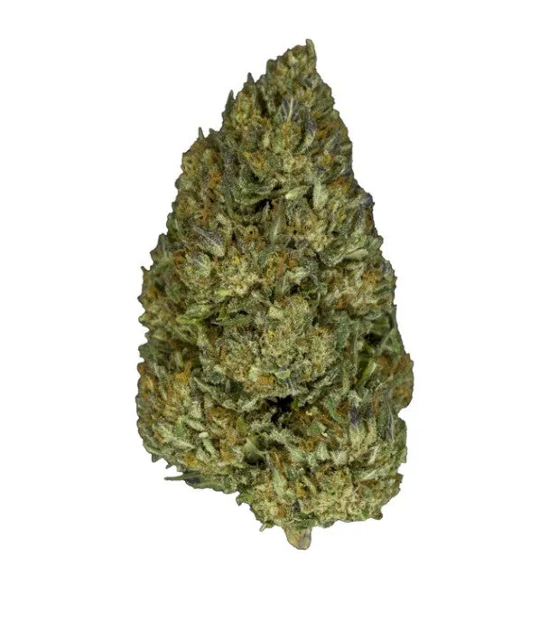 Society's Plant Abacus Hemp Outdoor Razzmatazz smokable CBD flower buds