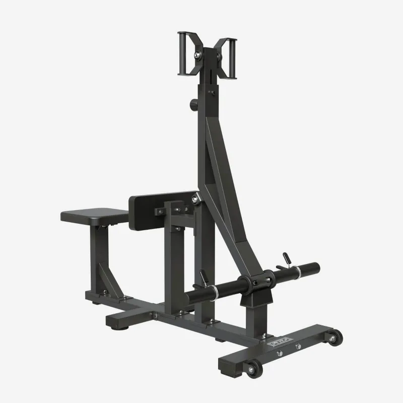 GMWD Fitness Seated Row Machine RM00 showing compact plate-loaded back training equipment with rotating handles