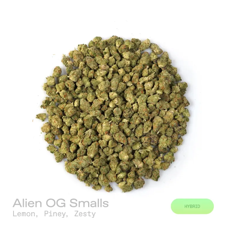 Hipuffy Alien OG THCa Flower (Exotic) (Hybrid) showing dense green buds with purple accents and orange pistils