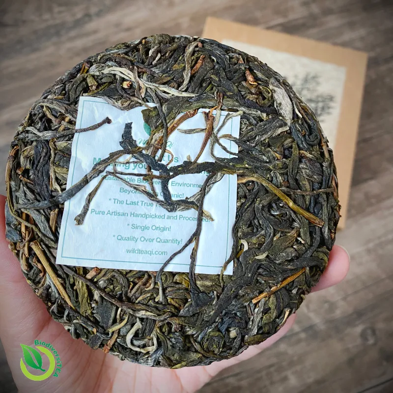 Wild Tea Qi The Qi of Tea Ancient Rattan Tea Tree Raw Puer 2021 Limited Edition tea cake