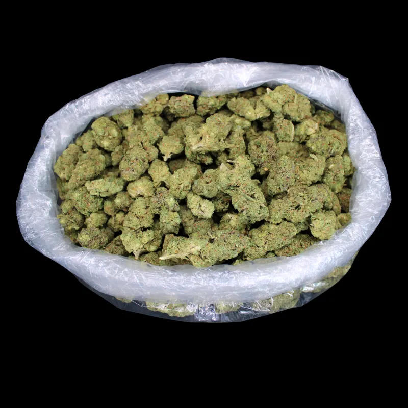 THCA Small Buds El Dorado THCA Flower pure sativa indoor buds
