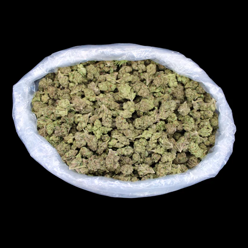 THCA Small Buds Money Over Bitches (MOB) THCA Flower purple-hued buds