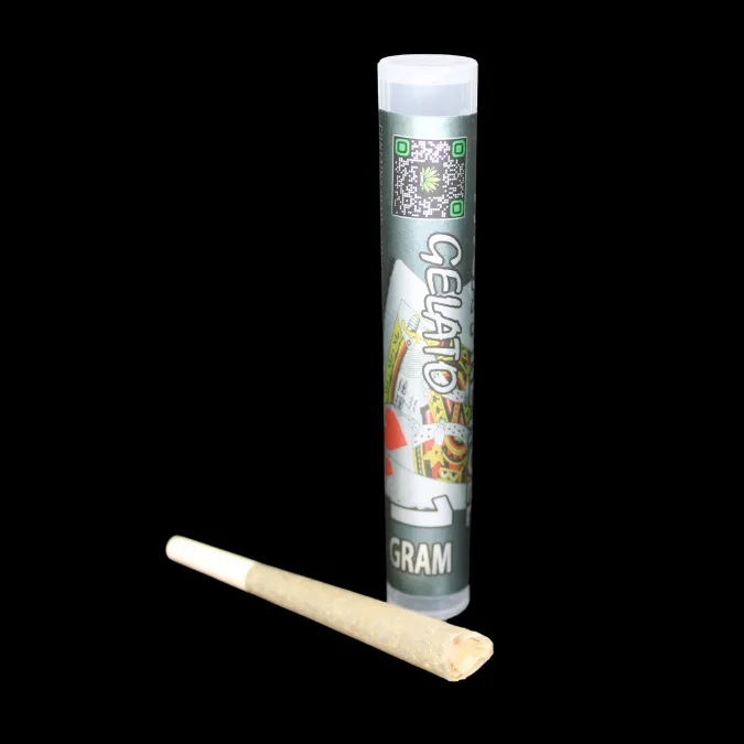 THCA Pre-Rolls by THCA Small Buds, single indoor Gelato joint in king size cone