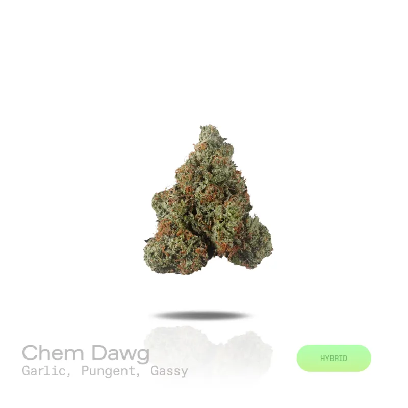 Hipuffy Chem Dawg THCa Flower Premium Indoor Hybrid dense green buds with orange pistils