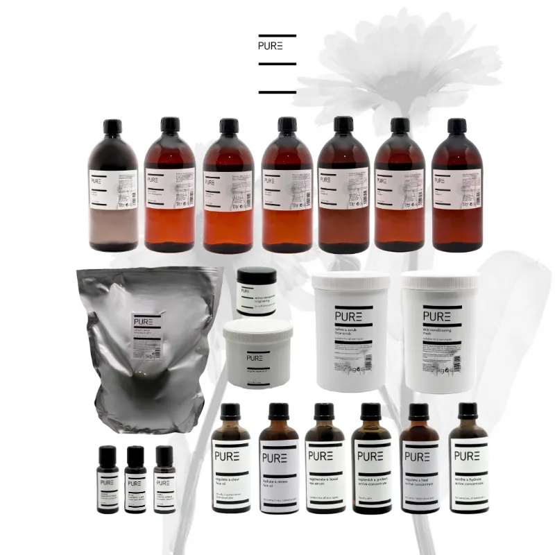 PURE Spa Skincare Professional Starter Pack (Small) with selection of natural skincare bottles arranged
