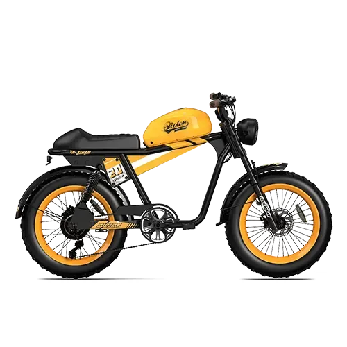 Qiolor TIGER RE Retro Electric Bike with 90s motor-inspired California design
