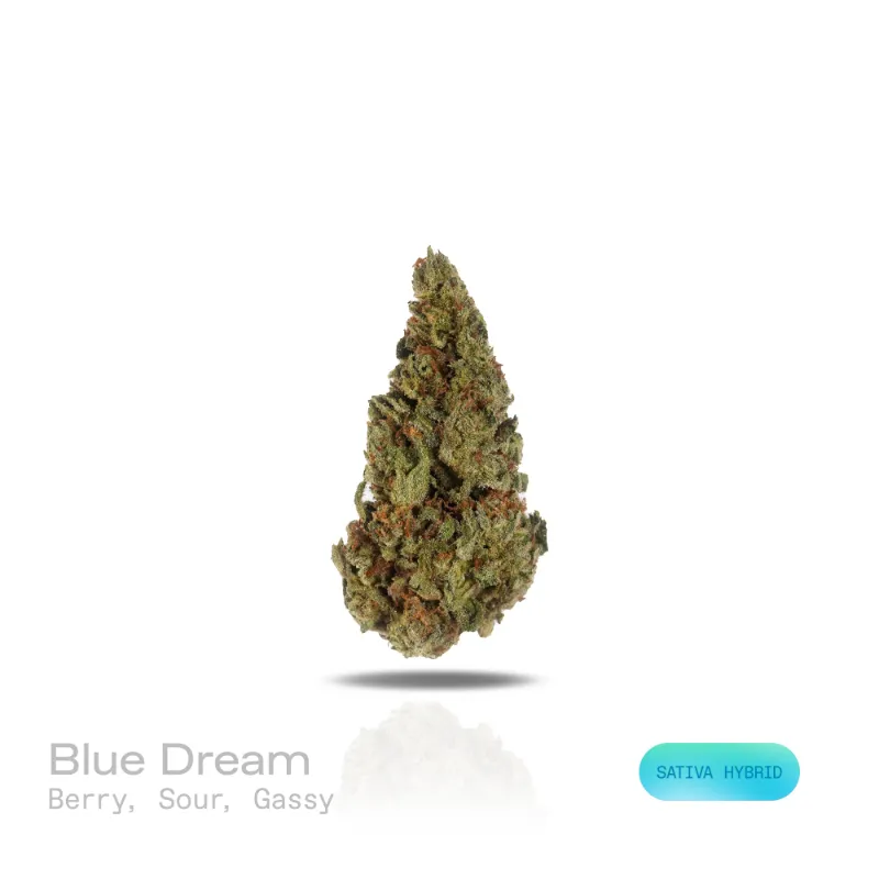 Hipuffy Blue Dream THCa Flower (Indoor) (Sativa Hybrid) showing bright green and blue cannabis buds with orange pistils