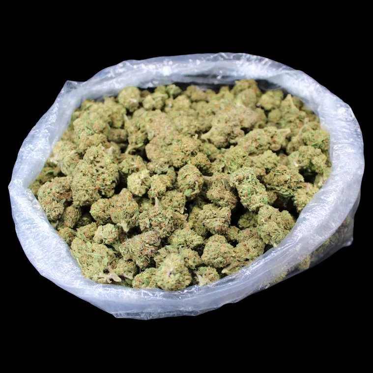 THCA Small Buds Zookies THCA Flower, fresh greenhouse buds