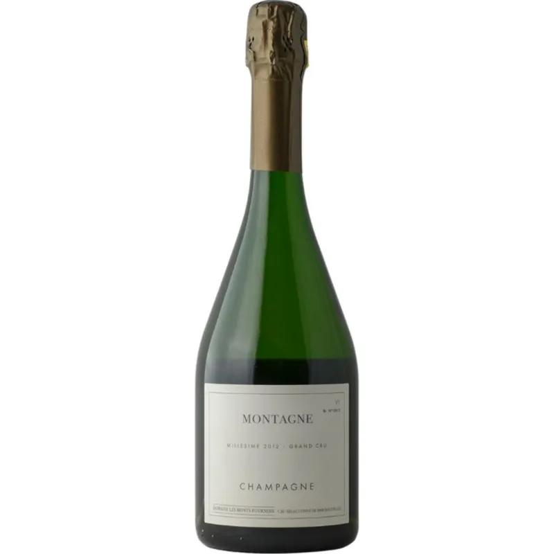 Mr.D Wine 2012 Domaine Les Monts Fournois Montagne Verzy Champagne bottle
