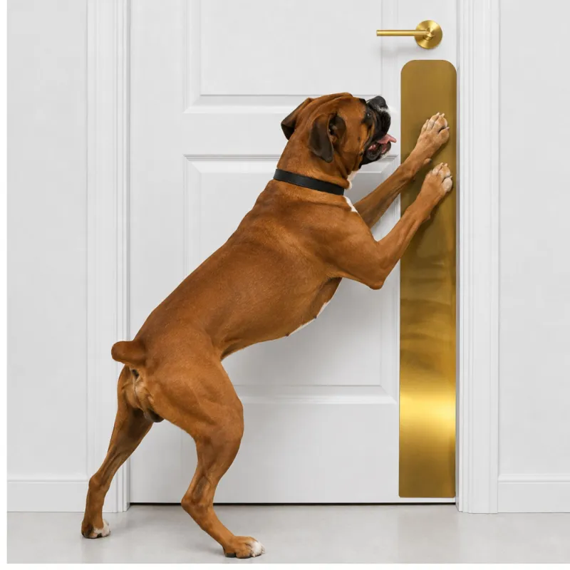 Deck the Door Decor Dog Scratch Protection Door Plate in anodized aluminum protecting door from pet damage