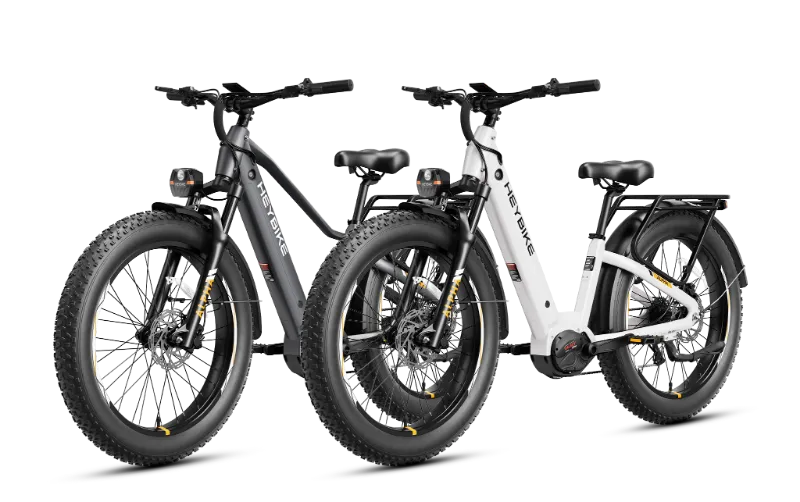 Heybike ALPHA-Combo complete e-bike package