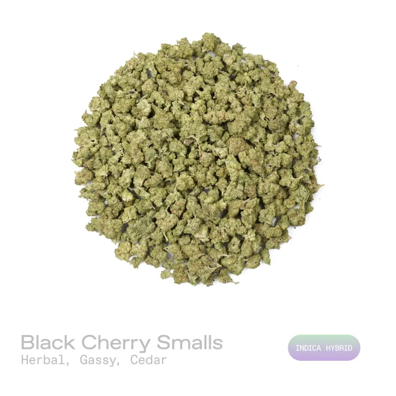Hipuffy Black Cherry THCa Flower (Indoor) (Indica Hybrid) showing small-sized green and purple cannabis buds