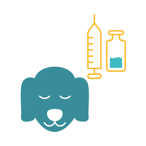 Affordable Pet Labs Pre-anesthetic Diagnostic Test For Dogs showing a veterinarian performing a smooth and quiet bedside blood collection