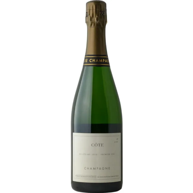 Mr.D Wine 2010 Domaine Les Monts Fournois Cote Vertus Premier Cru Champagne bottle