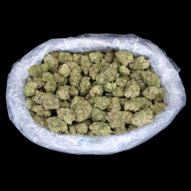 THCA Small Buds Crazy Glue THCA Flower indoor cannabis buds in packaging