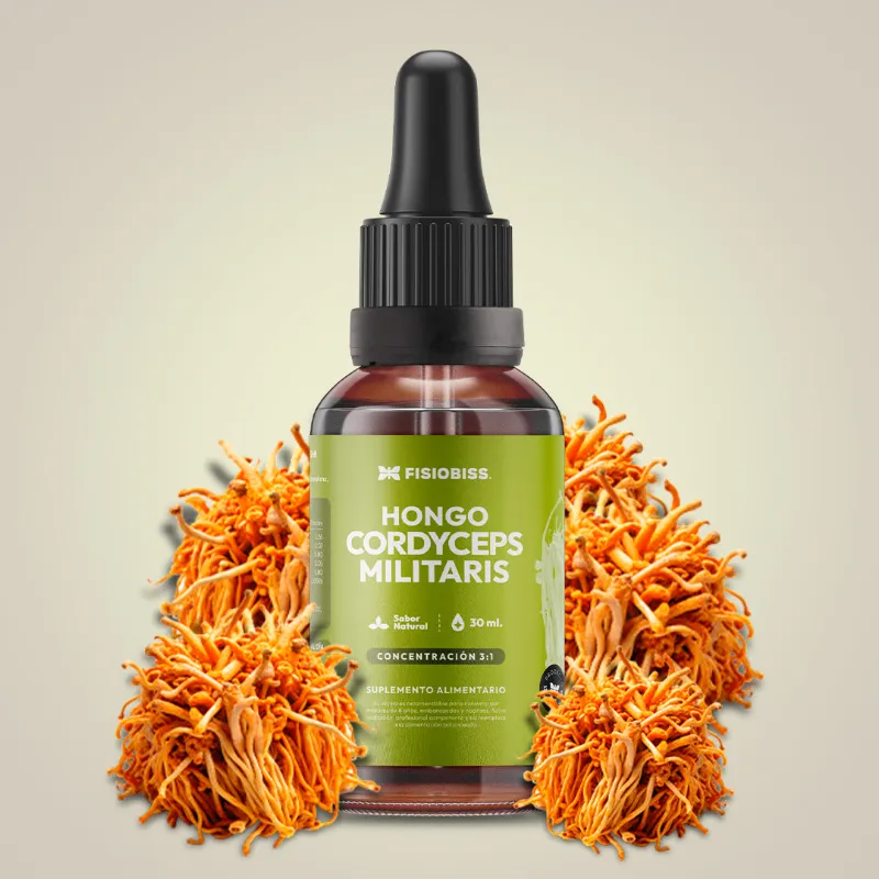 Cordyceps Militaris- Más energía, Resistencia Física y Vitalidad (NUEVA FÓRMULA POTENCIADA)
