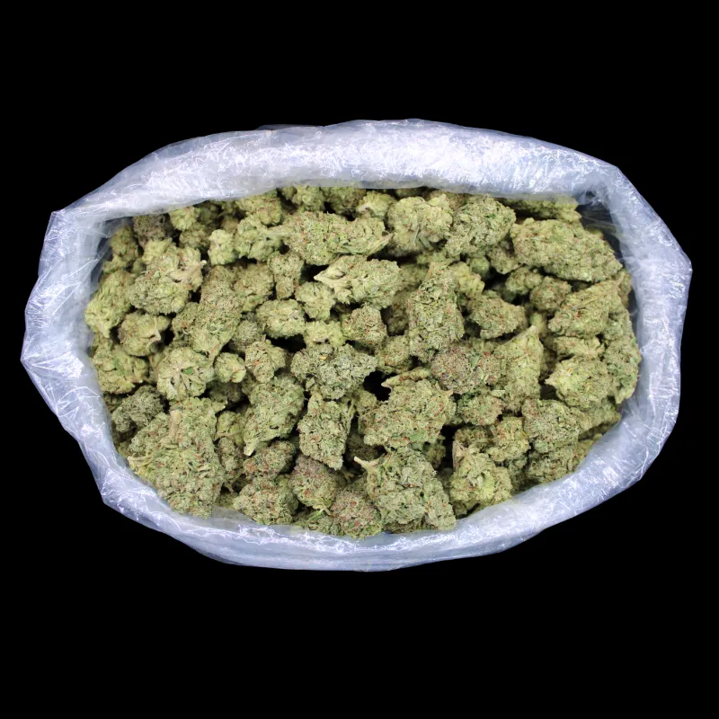 THCA Small Buds Blue Crack THCA Flower greenhouse sativa-dominant