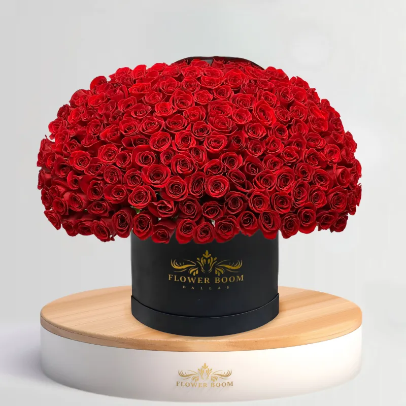 Flower Boom Dallas 150 Red Roses In A Box arranged in black luxury flower box