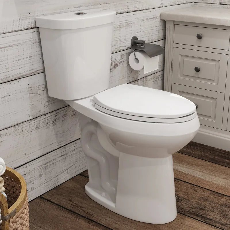 HOROW Dual Flush 2 Piece Toilet with Elongated Bowl Model HWTT-E03D in a bathroom
