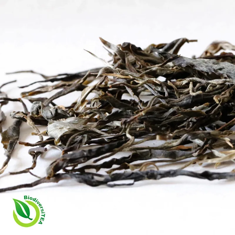 Wild Tea Qi Aged Mengku Rich Valley Raw Puer Tea showing pressed tea cake with purple and silver leaf hues