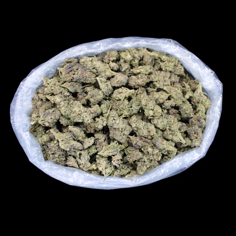 THCA Small Buds Purple Unicorn Flower strain, greenhouse-grown hybrid buds