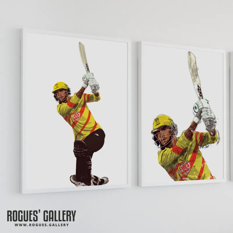 Rogues Gallery Alex Hales That's Another Six print showing cricketer mid-swing