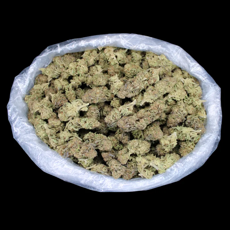 THCA Small Buds Pineapple Express THCA Flower greenhouse buds