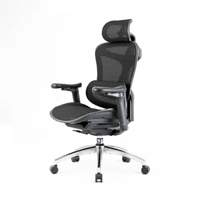 Sihoo C300 Ergonomic Office Chair with Advanced Back Support, black mesh chair with adjustable headrest