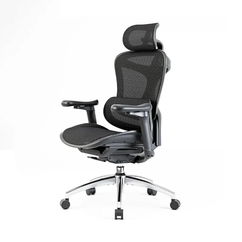 Sihoo C300 Ergonomic Office Chair with Advanced Back Support, black mesh chair with adjustable headrest