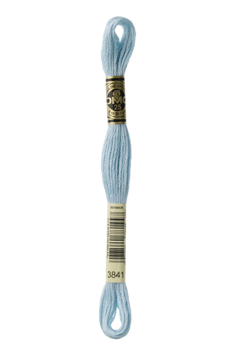 LETISTITCH DMC Mouliné Spécial 117MC-E_3841 embroidery thread skein in Igloo Blue