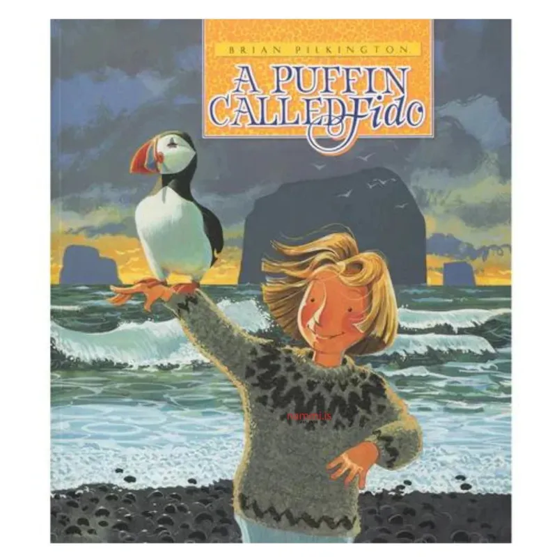 Nammi A Puffin Called Fido children's book about puffins with illustrated cover
