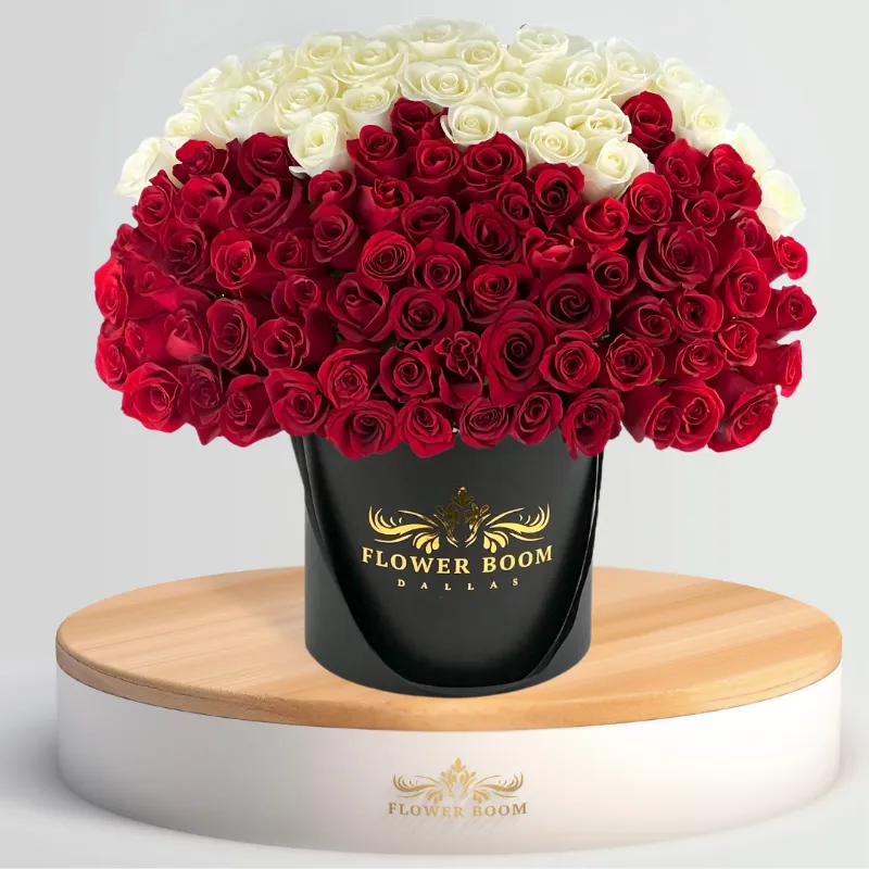 Flower Boom Dallas Red & White Ombre Bouquet with 75 fresh roses in white to red gradient arrangement