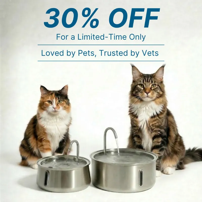 Rhykin FreshFlow Cat Water Fountain with flowing water for pet hydration