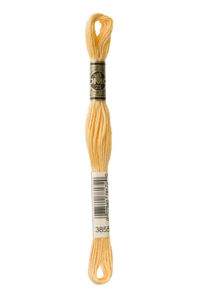 LETISTITCH DMC Mouliné Spécial 117MC-E_3855 embroidery thread skein in Desert Winds