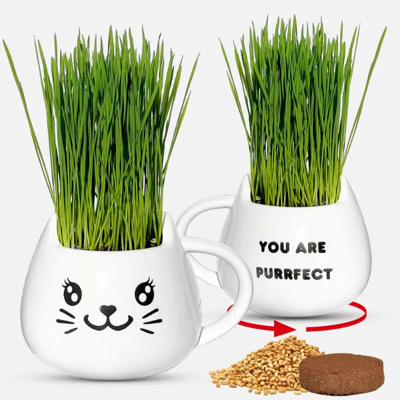 ZestiGreens Cat Grass Mug Growing Kit with ceramic mug, soil disk and organic seeds