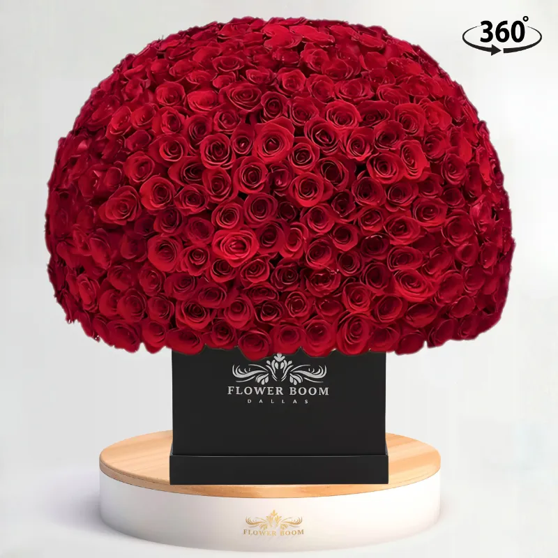 Flower Boom Dallas 500 Red Roses - Huge Rose Box, oversized luxury arrangement with premium red roses