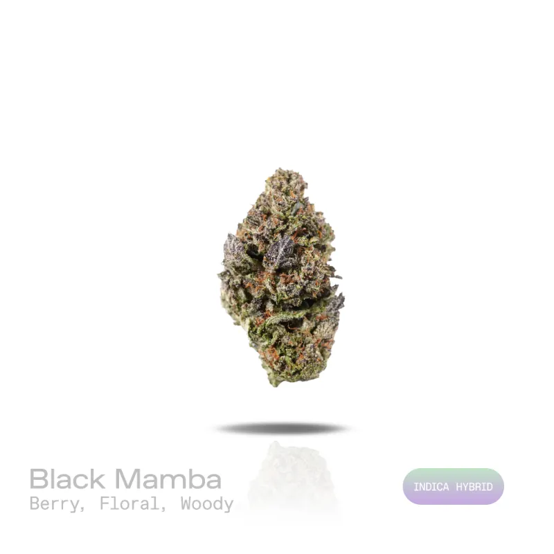 Hipuffy Black Mamba THCa Flower (Indoor) (Indica Hybrid) showing green and purple cannabis buds