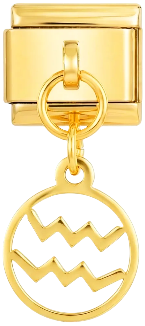 Charms Official Aquarius Sign Hanging on Gold charm with zodiac symbol