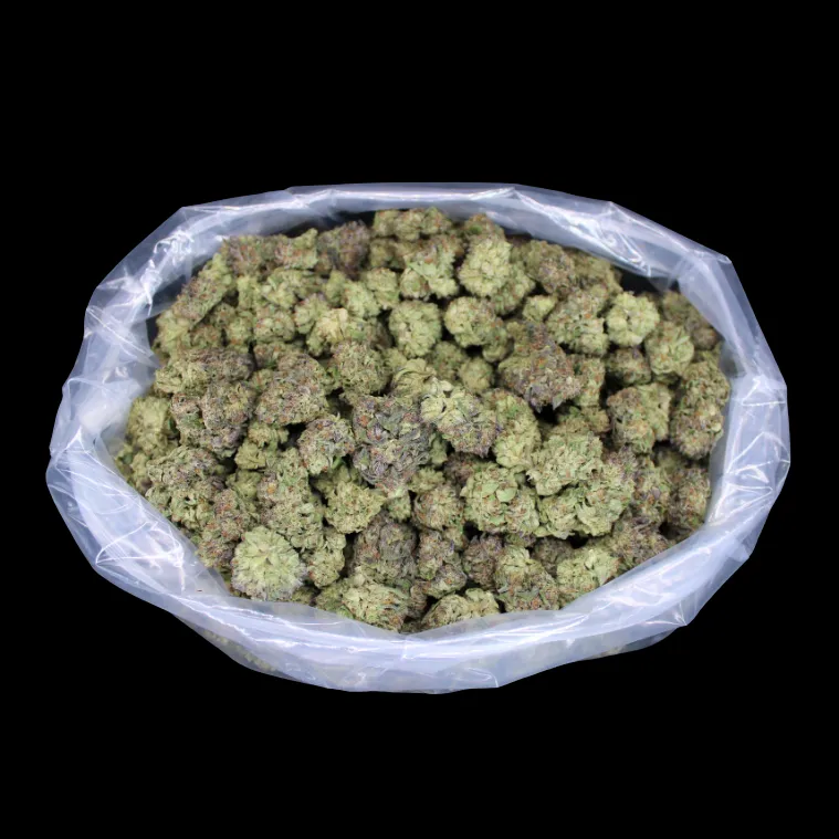 THCA Small Buds Cheap THCA Flower Quarter Pound, dense full-size greenhouse buds