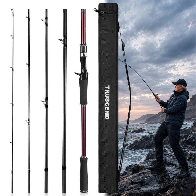 Truscend Fishing Aetheron Seabass Fishing Rod with Toray carbon blank, Fuji guides, and EVA handle