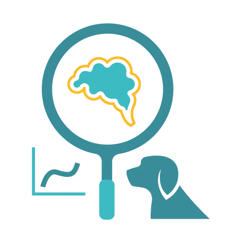 Affordable Pet Labs Seizure Disease Diagnostic Test For Dogs displaying a veterinary technician carefully collecting a blood sample at home