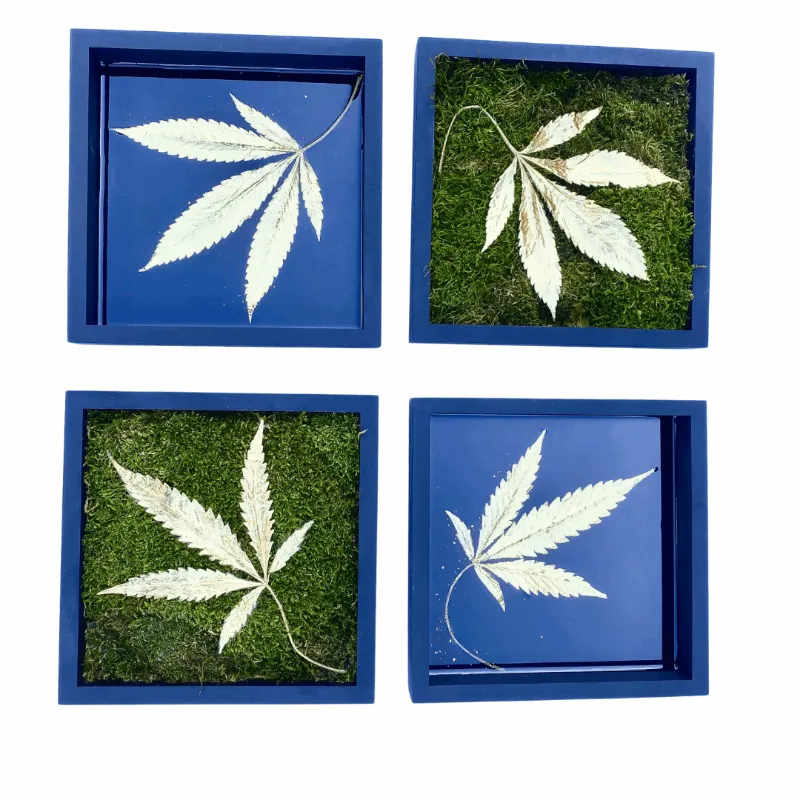 Society's Plant Field to Wall Art gold gilded cannabis leaf on preserved moss or resin base