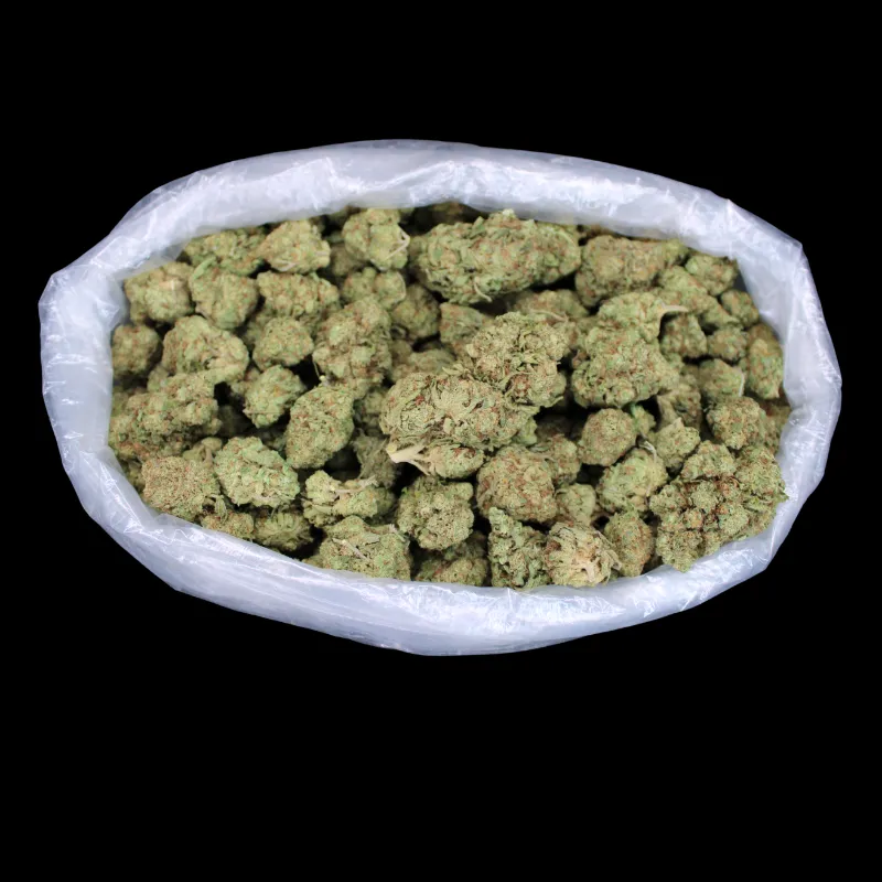 THCA Small Buds Acapulco Gold THCA Flower fresh harvest greenhouse buds