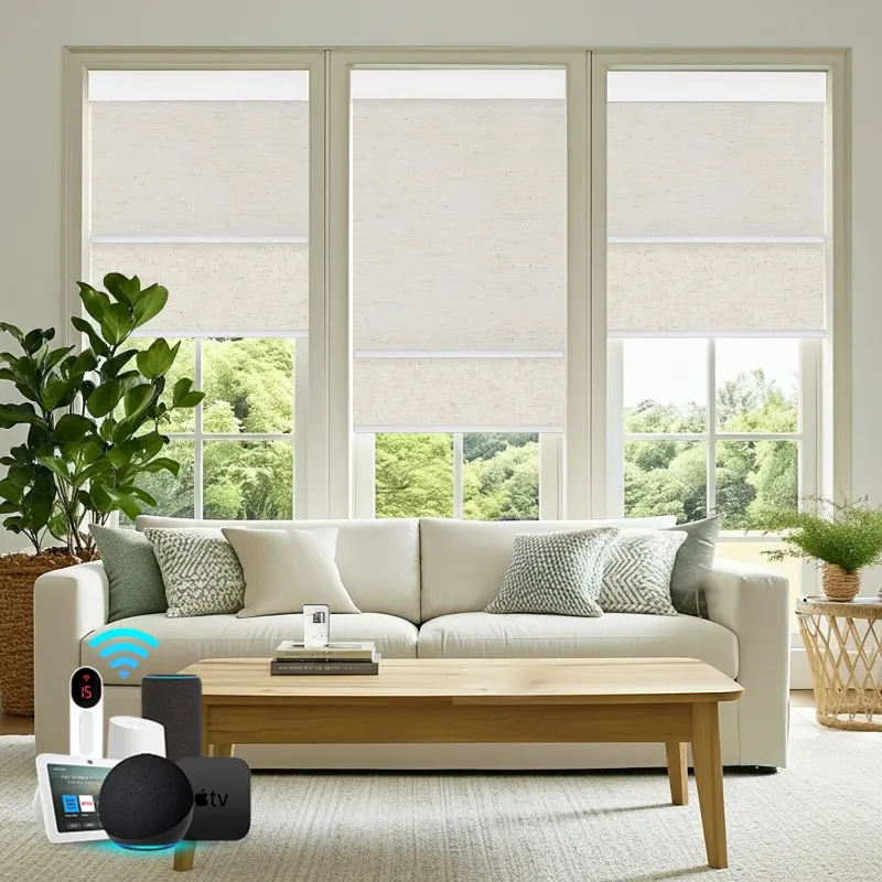 Bringnox Motorized Dual Shades with light filtering and blackout layers on window