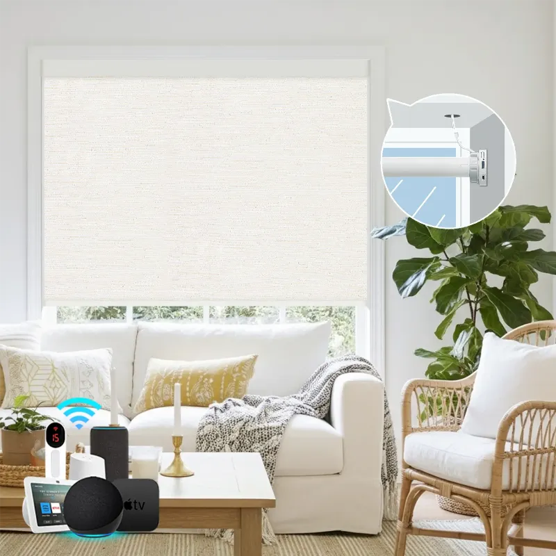 Bringnox Hardwired Motorized Roller Shades 100% Blackout Safari roller shade in neutral tone